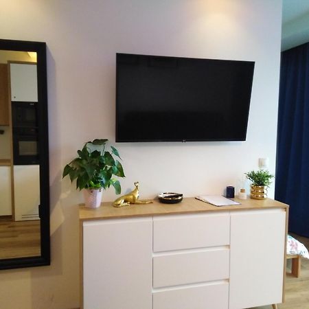 Apartament Premium 72 Zator Zewnętrze zdjęcie